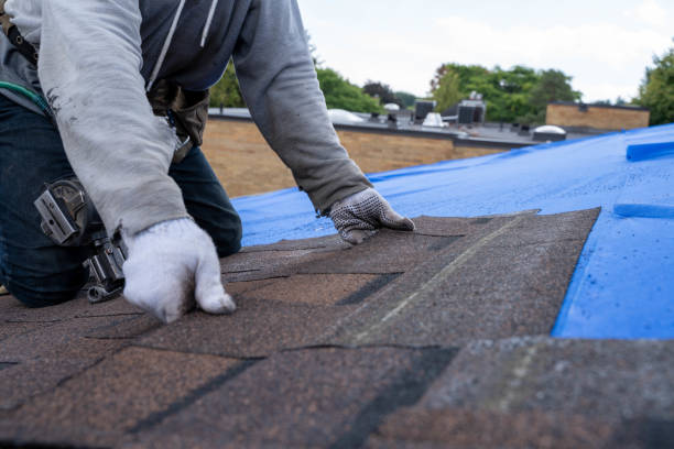 Best Storm Damage Roof Repair  in Baldwin, PA